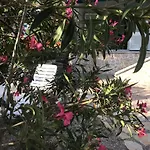 Mare Apartment *